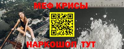 СК Гатчина