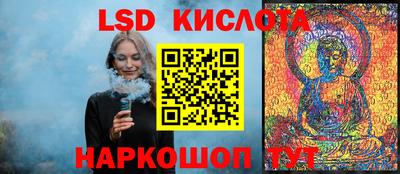 СК Гатчина