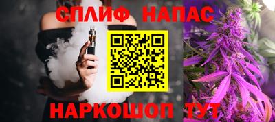 СК Гатчина