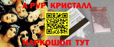СК Гатчина