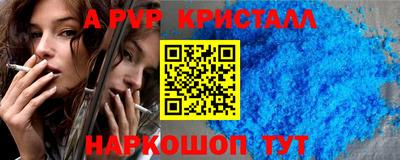 СК Гатчина