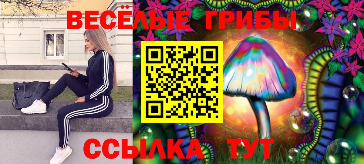 Карпинск  Псилоцибиновые грибы GOLDEN TEACHER  Вход с VPN 