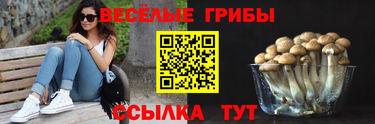 Галлюциногенные грибы прущие грибы Карпинск